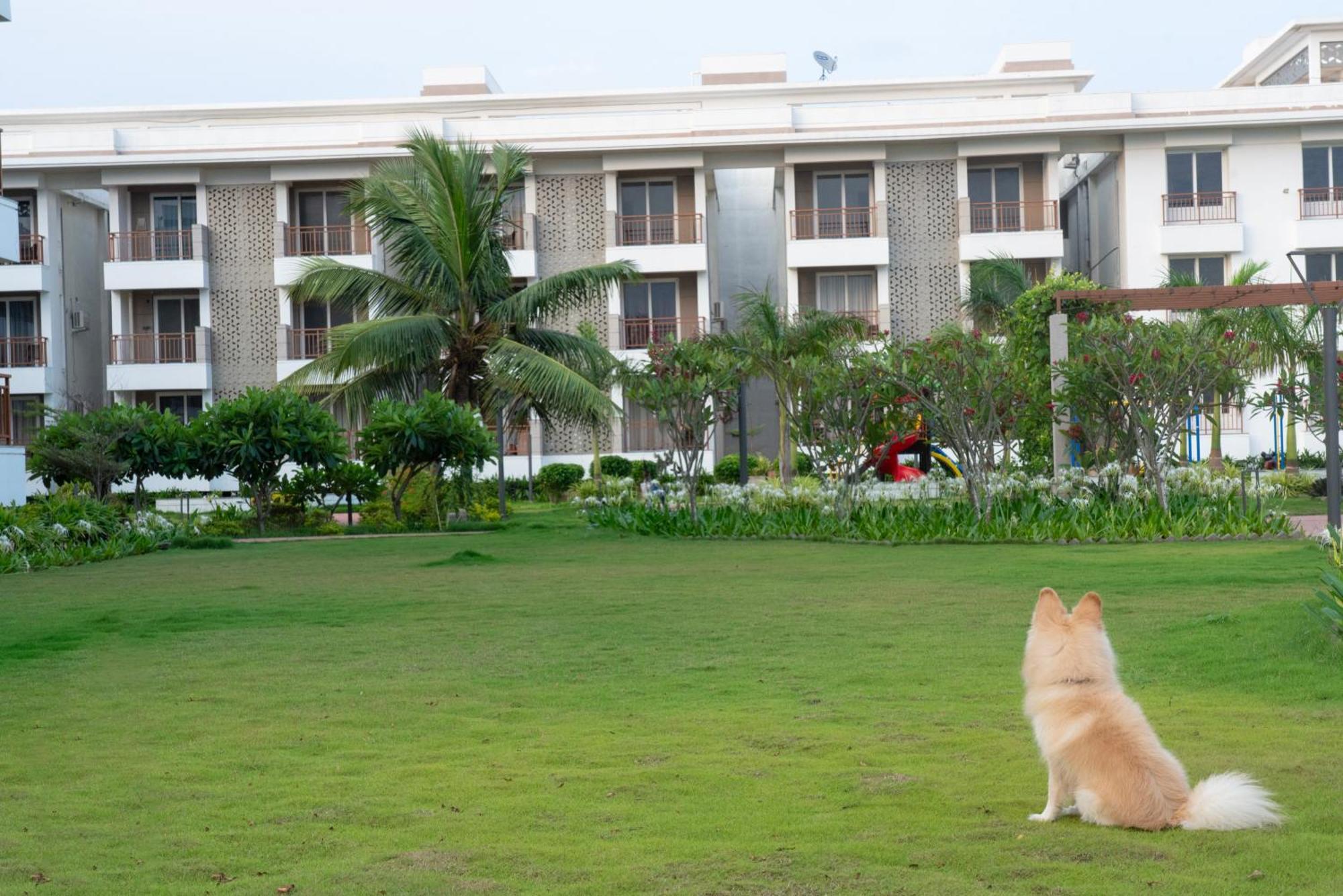 Palm Regal Resort Gopālpur エクステリア 写真