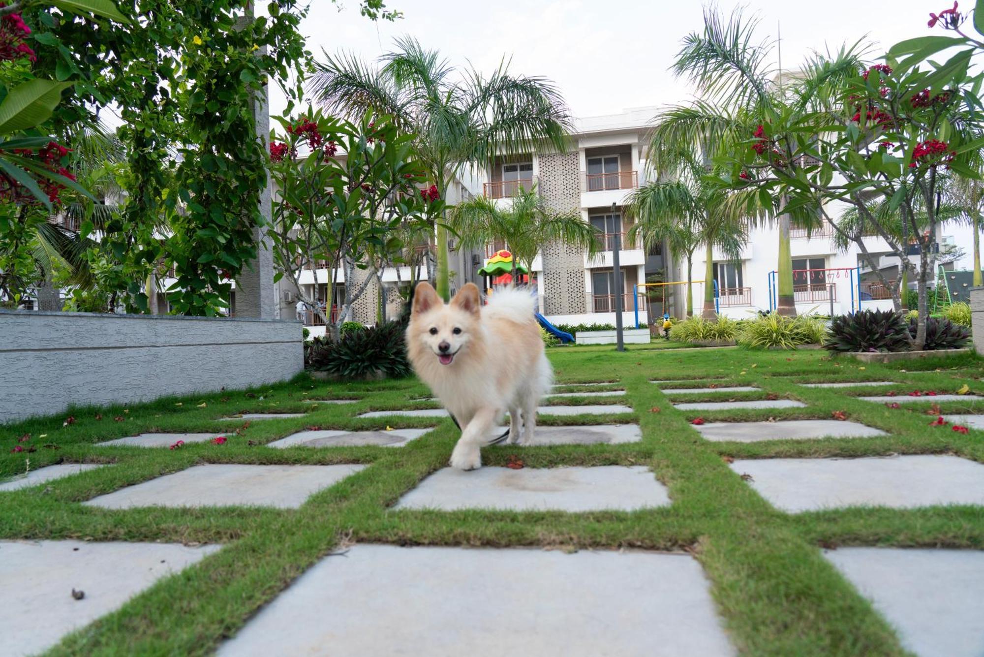 Palm Regal Resort Gopālpur エクステリア 写真